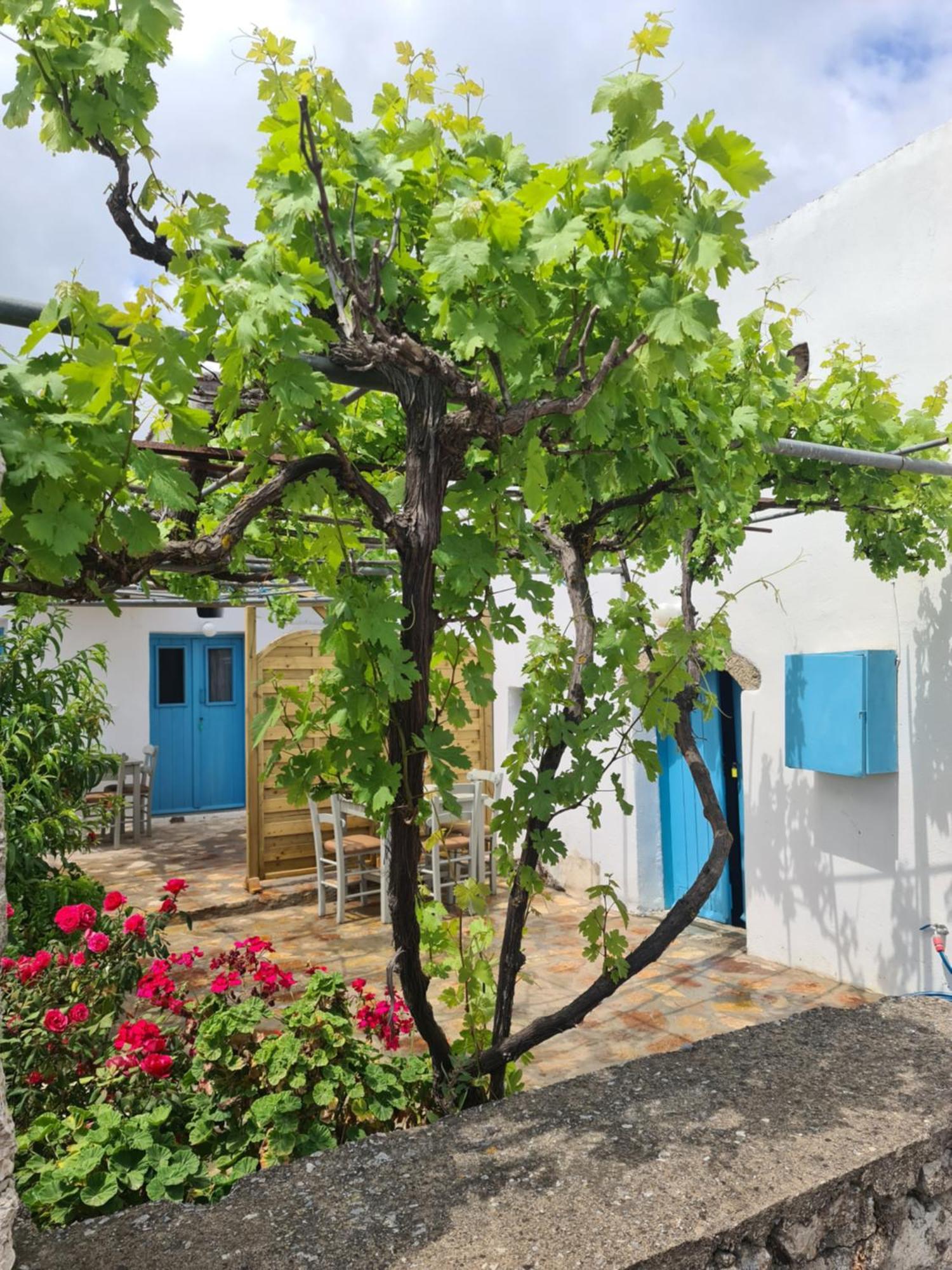 Kamaraki Aroniadika Διαμέρισμα Κύθηρα Εξωτερικό φωτογραφία